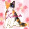 Profilbild von *ひかり*