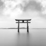 Shiroi 的头像