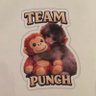 Profilbild von TeamPunchEV
