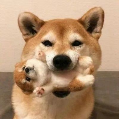 htc0806's profile picture