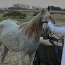 Profilbild von عمر الكعيدي
