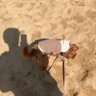 チタ🐟's profile picture