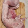 Profilbild von Carmieconie04
