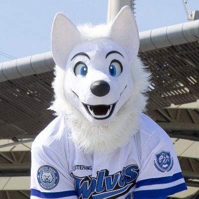 MAX's profile picture