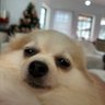 Profilbild von victoria