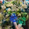 モネ@ハコ船🐧💙 🕊‎ 🍀💚's profile picture