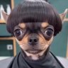 Bryant Delafosse's profile picture