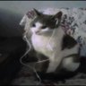k profil fotoğrafı
