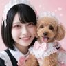 まみ🫶やさしめ保守 的头像