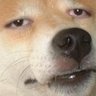 BatCreditCard 9's profile picture