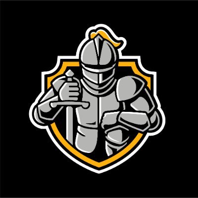 dordtdefenders's profile picture