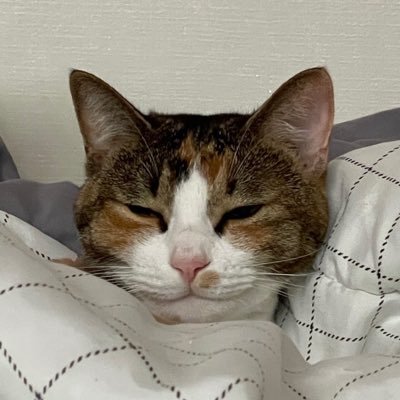 zero_suhyeon's profile picture
