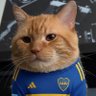 Profilbild von Gabriel