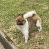 Фото профиля Mhofela