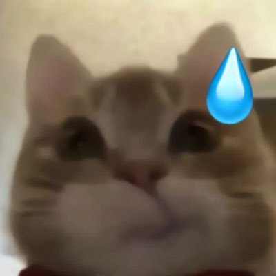 준지니's profile picture
