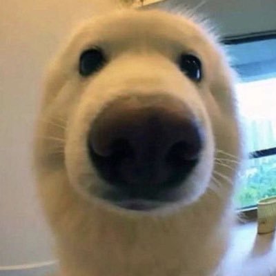 🧇's profile picture