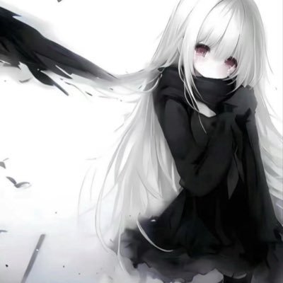 PFouquier's profile picture