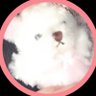 まめ's profile picture