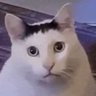Profilbild von Ashen
