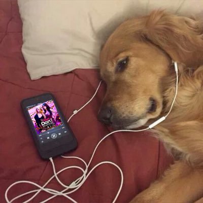ppstx21's profile picture