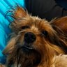 R0dris profil fotoğrafı