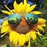 Profilbild von Sherry Ann