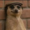 Profilbild von Wellness linguist
