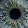 J.J.'s profile picture