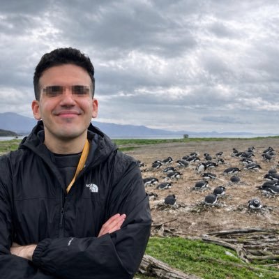 Pedro P.'s profile picture