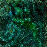 Emerald Groyper's profile picture