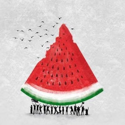 Los Otros Judíos 🇵🇸 #StoptheGenocide's profile picture