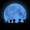 _y.garden's profile picture