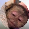 -'s profile picture