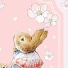 florals's profile picture