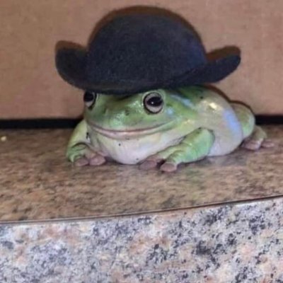 Tuki highlights's profile picture