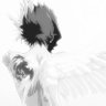 Profilbild von ex_h9