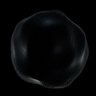 Damian's profile picture