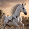 سمر القحطاني 的头像