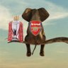 TM's profile picture
