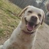 Profilbild von Marcon X