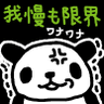 パンダの怒り's profile picture