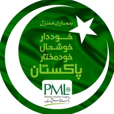 PMLNPunjabPk's profile picture