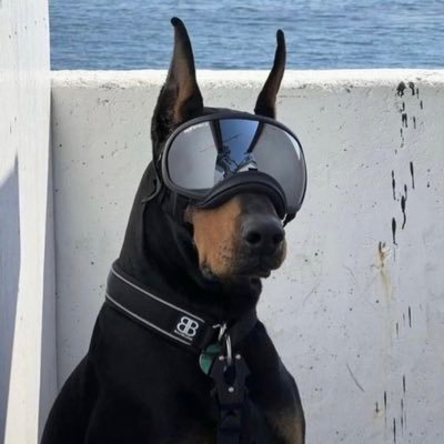 Le Nine 9's profile picture