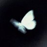 Jo's profile picture