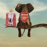 Epl Champion 2025/26 的头像