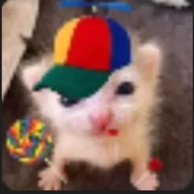 webizas's profile picture