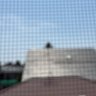 Nomear's profile picture