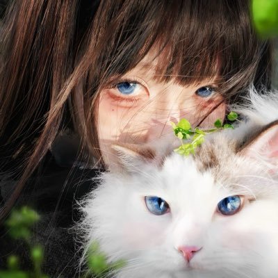 正研Ss's profile picture