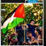 Profilbild von Palestinian Freedom fighter