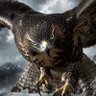 鷹くん🦅 profil fotoğrafı